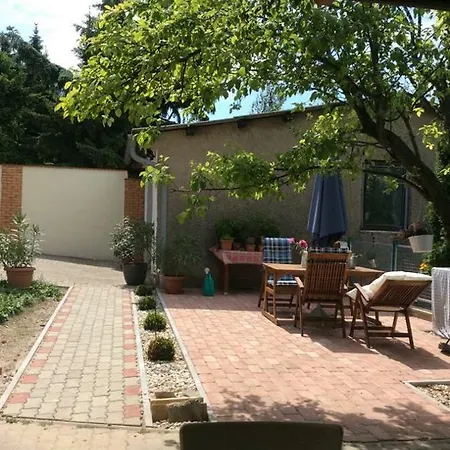 Das Tulpen Apartment Weiden am See Exterior photo