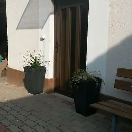Das Tulpen Apartment Weiden am See Exterior photo