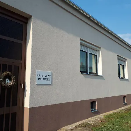 Das Tulpen Apartment Weiden am See Exterior photo