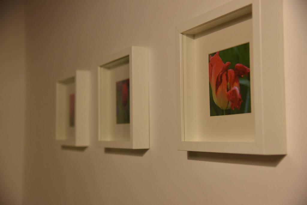 Tulpen